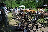 tn_DSC_3839.JPG