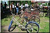 tn_DSC_3846.JPG