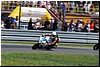 DSC_4999.JPG
