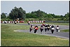 DSC_5537.JPG