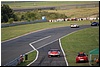 DSC_7787.JPG