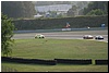 DSC_7850.JPG