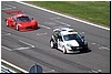 DSC_8137.JPG