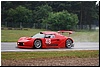 DSC_6295.JPG