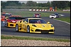 DSC_7125.JPG