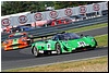DSC_7605.JPG