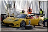 DSC_7720.JPG
