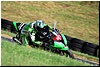 DSC_3534.JPG