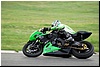 DSC_4328.JPG
