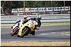 DSC_9385.JPG