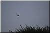 DSC_1370.JPG