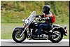 DSC_3232.JPG