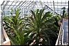 DSC_0707.JPG