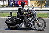 DSC_5699.JPG
