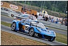 DSC_6539.JPG