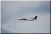 DSC_7380.JPG