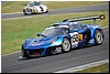 DSC_7499.JPG