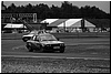 DSC_7662.JPG