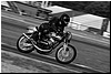 DSC_0576a.jpg