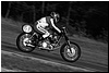 DSC_0648a.jpg