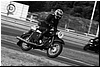 DSC_0656a.jpg