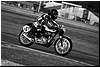 DSC_0678a.jpg