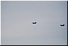 DSC_1235.JPG