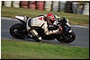 DSC_1264.JPG
