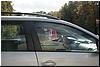 DSC00034.JPG