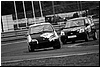 DSC_4174.JPG