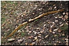 tn_DSC_6283.JPG