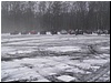 tn_PC160007.JPG