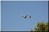 DSC_0523.jpg