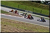 DSC_8411.JPG