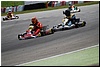 DSC_8441.JPG