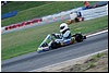 DSC_8478.JPG