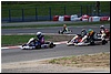 DSC_8488.JPG