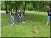 P1050397.jpg