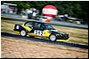 warsztaty_torpoznan_HS2A0079_final.jpg