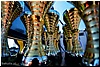 warsztaty_torpoznan_HS2A9961_final.jpg