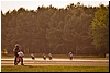 2013-08-24-18-31-01.jpg