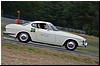 DSC_0420.jpg