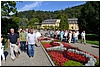 DSC_0924.JPG