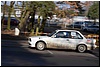 DSC_0052.jpg