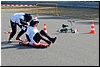 wielkopolanki_2014_231.jpg