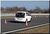 wielkopolanki_2014_258.jpg
