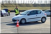 wielkopolanki_2014_282.jpg