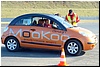 wielkopolanki_2014_293.jpg