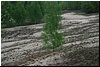 tn_DSC_2916.JPG