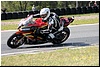 IMG_1164.jpg